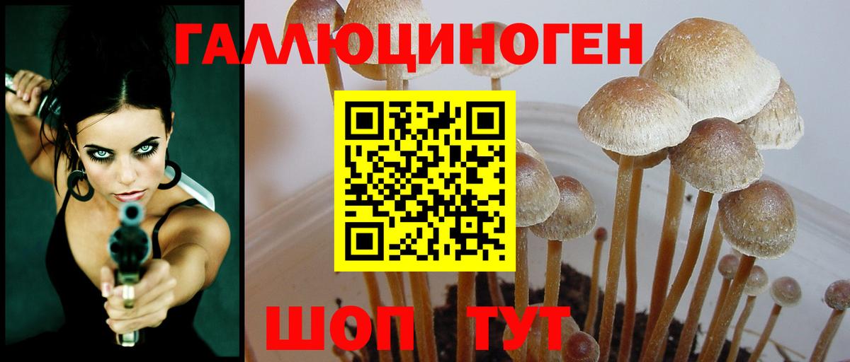 Галлюциногенные грибы MAGIC MUSHROOMS  Вход с VPN  Галлюциногенные грибы Magic Shrooms  Ульяновск 